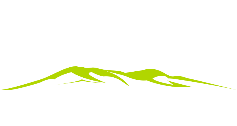 Odpružení - specialista na přepravu dětí a psů